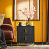 SoBuy FBT115-SCH Comodino Moderno o Tavolino da Notte con 2 Cassetti - Cassettiera Compatta Nero 40x40x47 cm